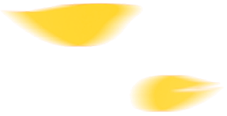 VEC-Leaf